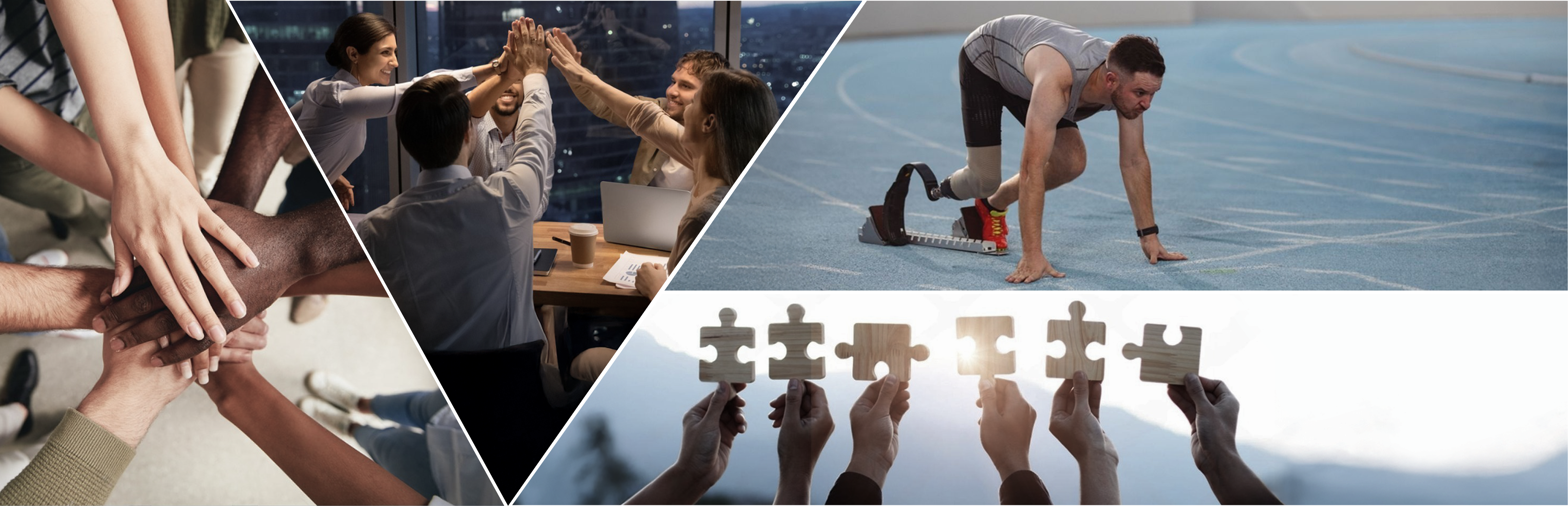 Inclusion and Diversity Banner